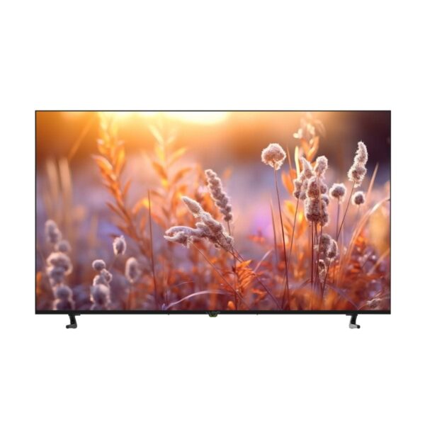LED Television 80 cm (32HS550G)
